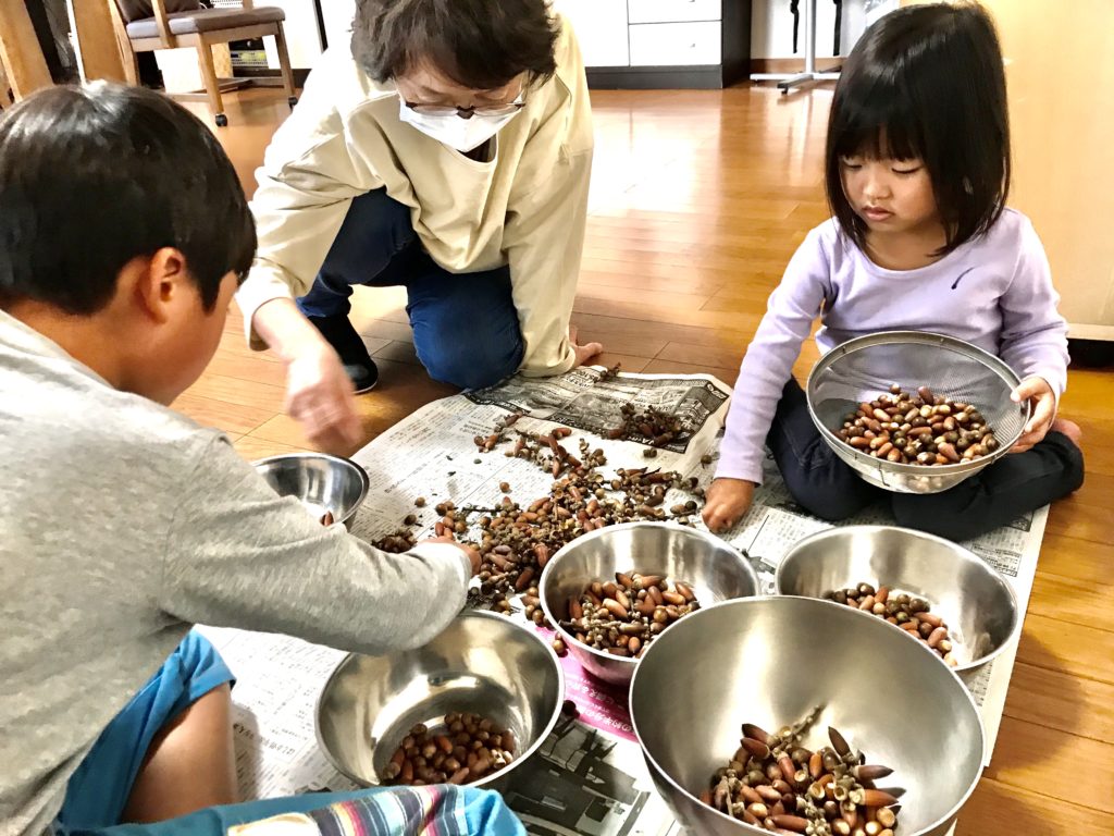 週末の楽しみ方 どんぐりを拾ってどんぐり銀行へ 11 28 横浜市全域の横浜市の企業 店舗 藤本裕子のコラム 百万母力 横浜市の子育て支援情報が満載 ぐるっとママ横浜