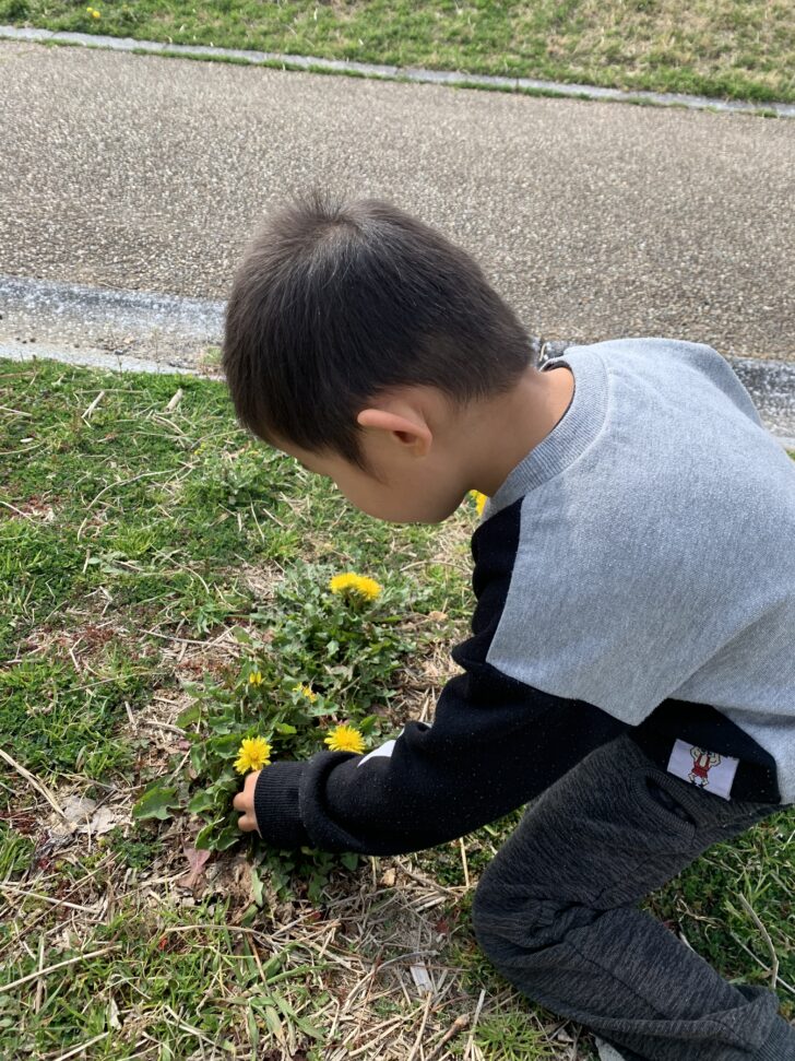 どんな花よりたんぽぽの花をあなたに送りましょう お母さん大学